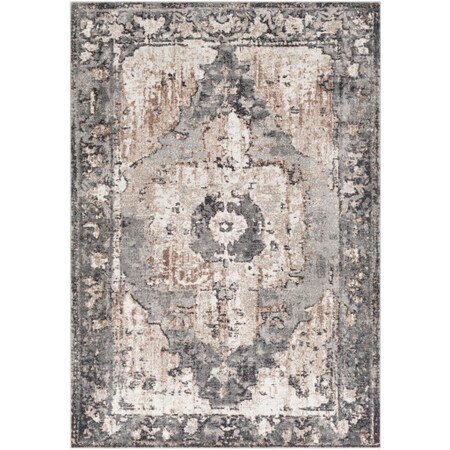 Surya Chelsea - 2' X 3' Area Rug CSA2304-23